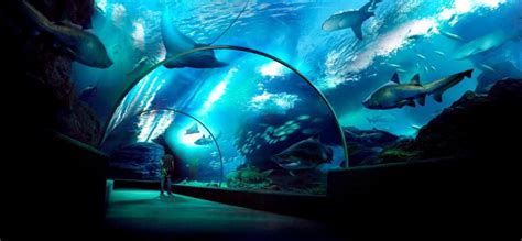 THE 10 BEST Asia Zoos & Aquariums .